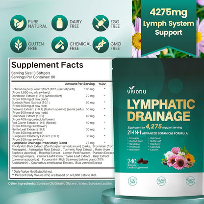 Grandelle™ - VivoNu Lymphatic 240 Capsules - Supports Lymphatic Circulation, Detox & Reduces Swelling, Supports Immune System & Metabolism