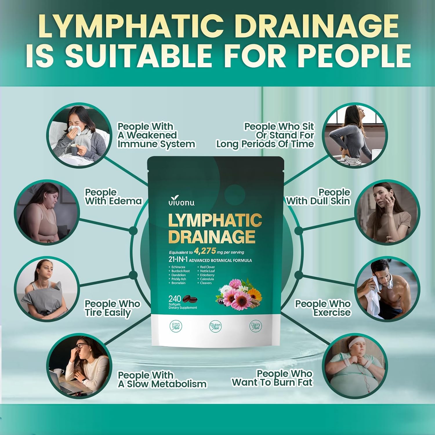 Grandelle™ - VivoNu Lymphatic 240 Capsules - Supports Lymphatic Circulation, Detox & Reduces Swelling, Supports Immune System & Metabolism
